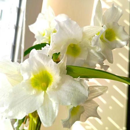 Patak-Party Apartmanok Bogács エクステリア 写真
