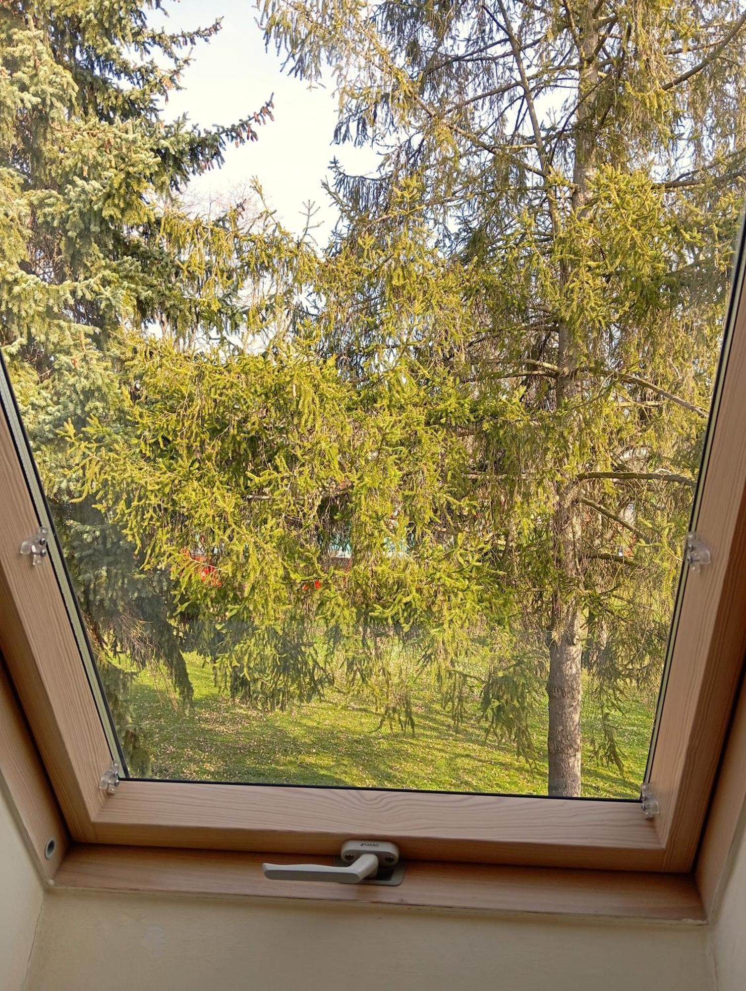 Patak-Party Apartmanok Bogács エクステリア 写真
